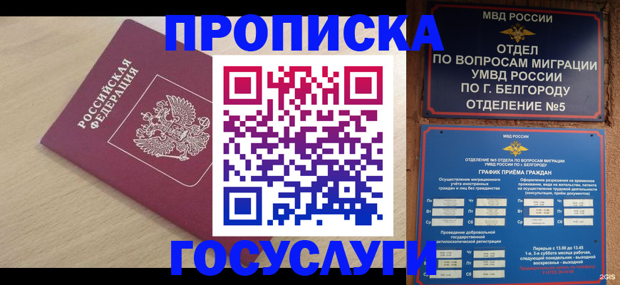 прописка законно в Тарко-Сале